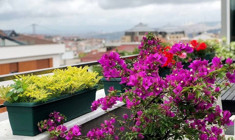 Personalizacja balkonu dzięki skrzynkom balkonowym 40 cm