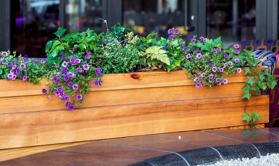 Skrzynki balkonowe z nawadnianiem - jak wpływają na estetykę przestrzeni?