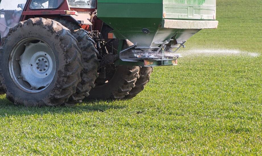 Ulepszanie struktury gleby dzięki bakteriom azotowym