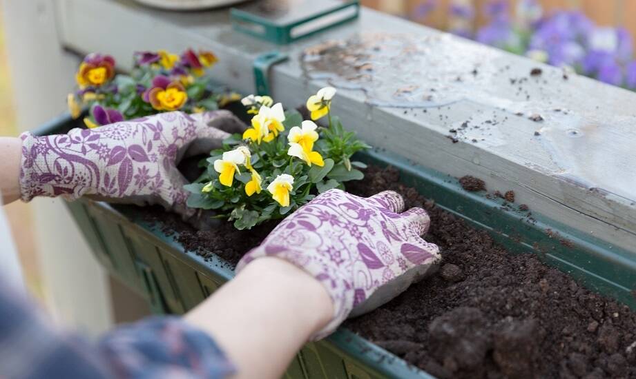 Skrzynki balkonowe 80 cm: praktyczne wskazówki dotyczące montażu