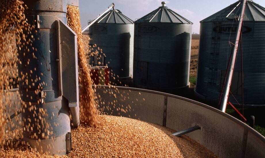 Jak zaawansowane funkcje sterowania w suszarkach do zbóż wspierają proces produkcji?