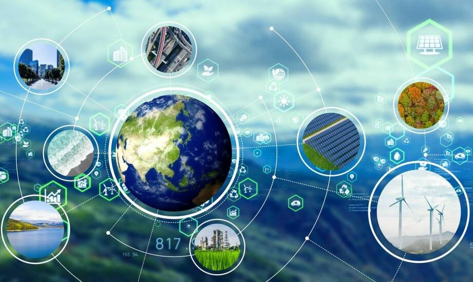 Rola firm specjalizujących się w wywozie elektroodpadów w gospodarce obiegu zamkniętego