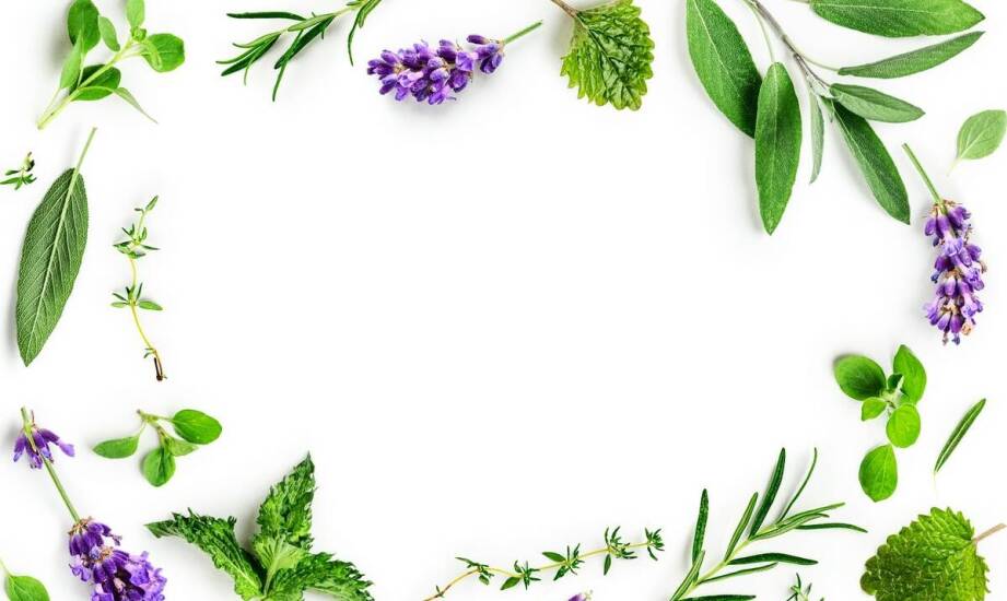 Dlaczego warto stosować Artrin XXL krem ziołowy na co dzień?