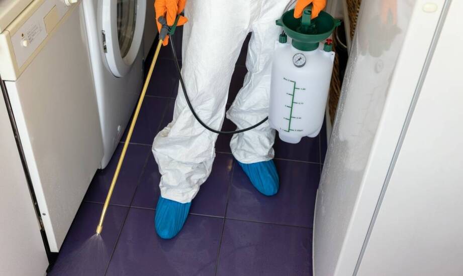 Jakie metody dezynsekcji są najskuteczniejsze w walce z karaluchami?