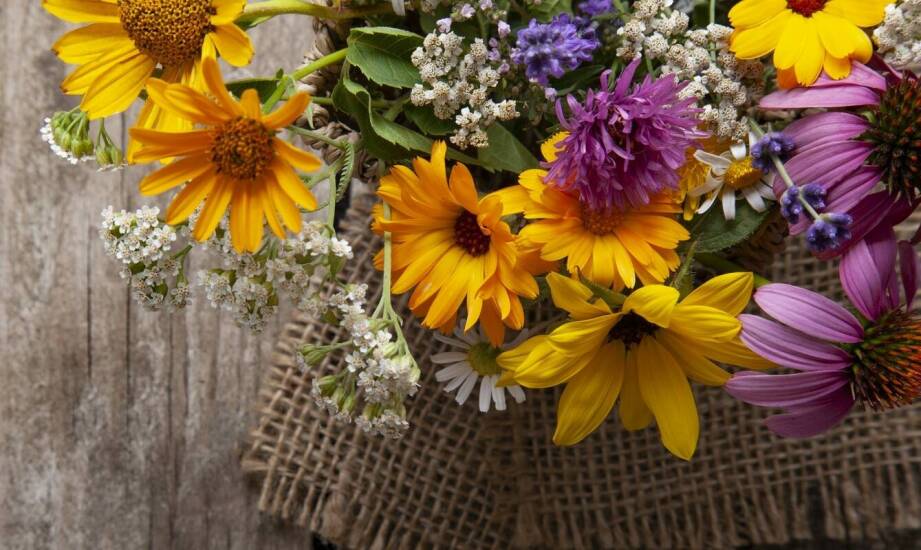 Ziołolecznictwo w leczeniu endometriozy: Naturalne metody wspierające zdrowie