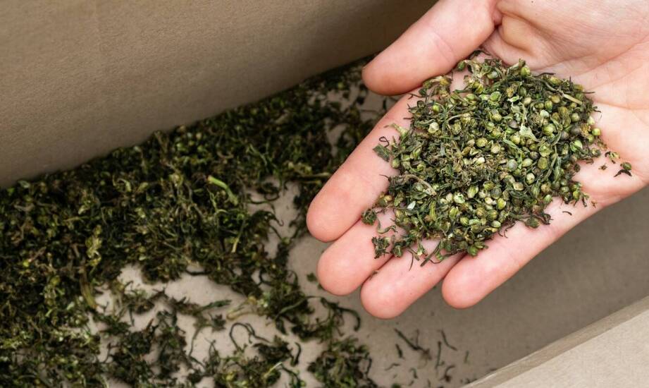 Estetyka i ekologia: jak połączyć te aspekty dzięki hot-stampingowi?