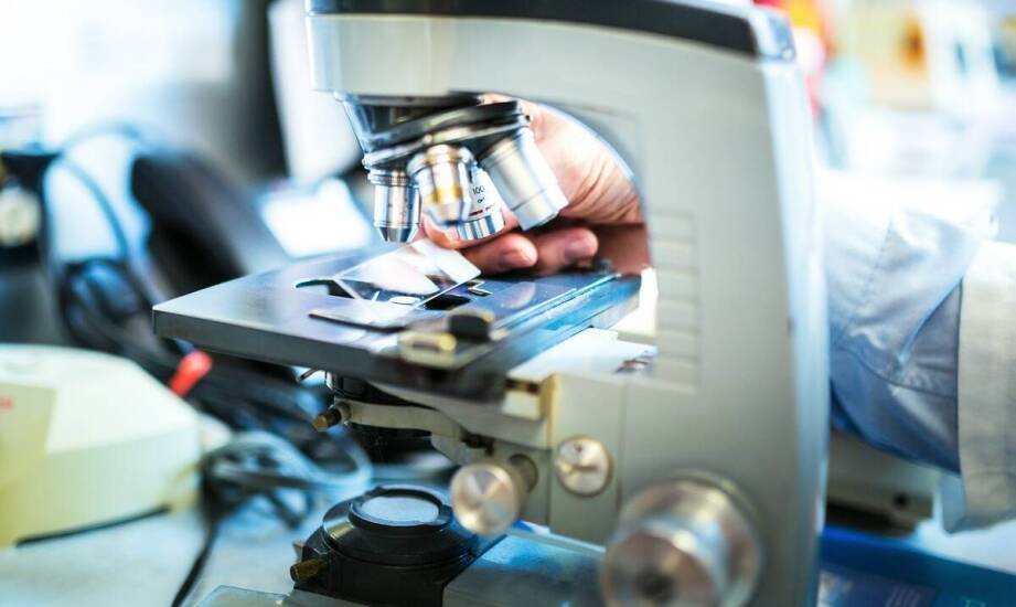 Odkryj, jak diagnostyka wspomagana mikroskopem przyspiesza proces leczenia