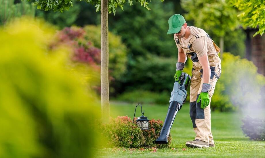 Jak efektywnie planować usługi sprzątania terenów zielonych?