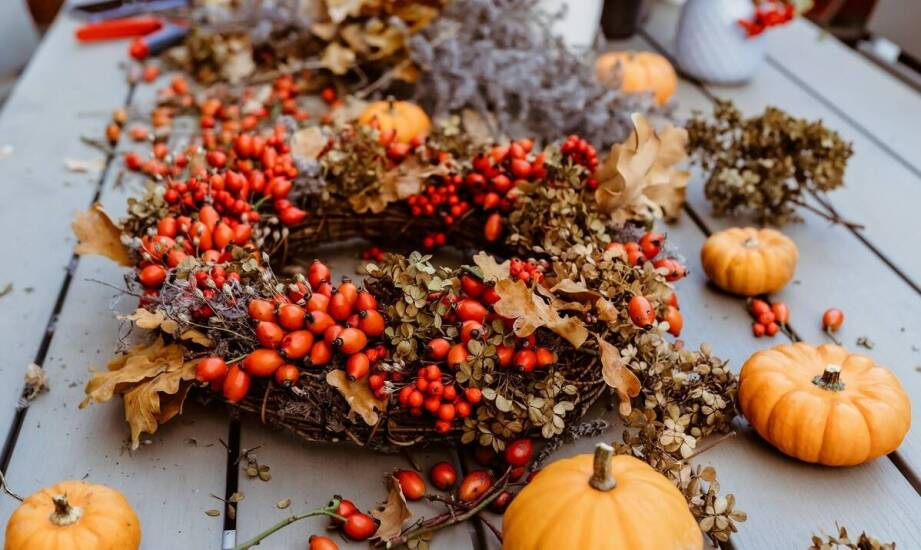 Wybór odpowiednich kas fiskalnych dla działalności sezonowej