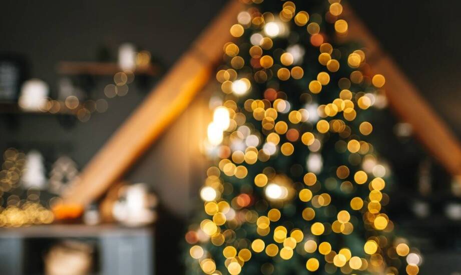 Jakie gatunki choinek sztucznych oferuje producent dekoracji świątecznych?