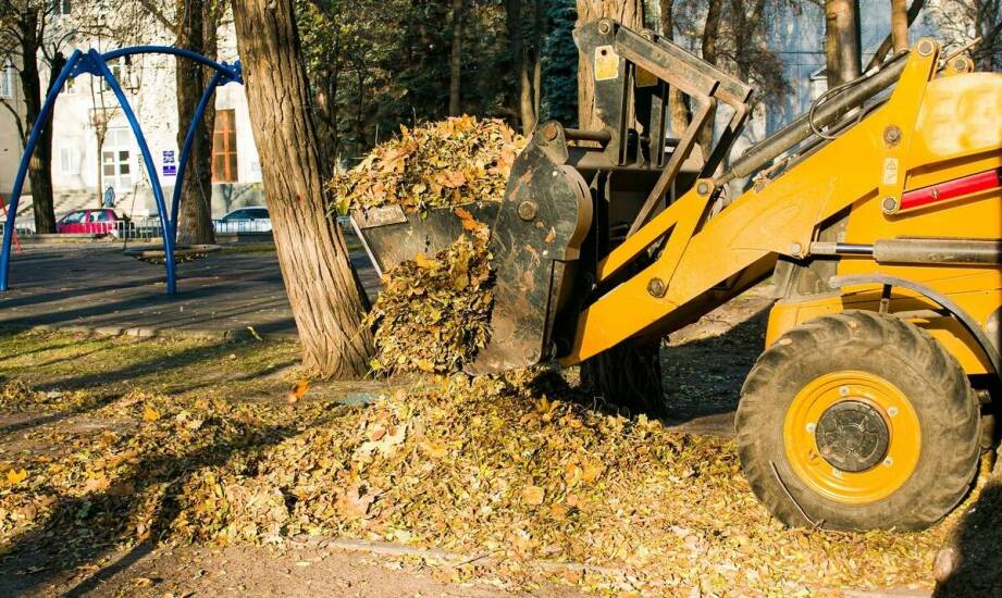 Dlaczego warto skorzystać z usług profesjonalnych firm wywozowych?