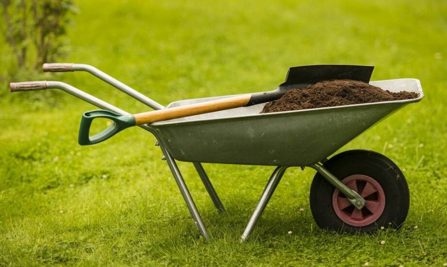 Jakie są korzyści z kompostowania odpadów zielonych przy wynajmie kontenera?