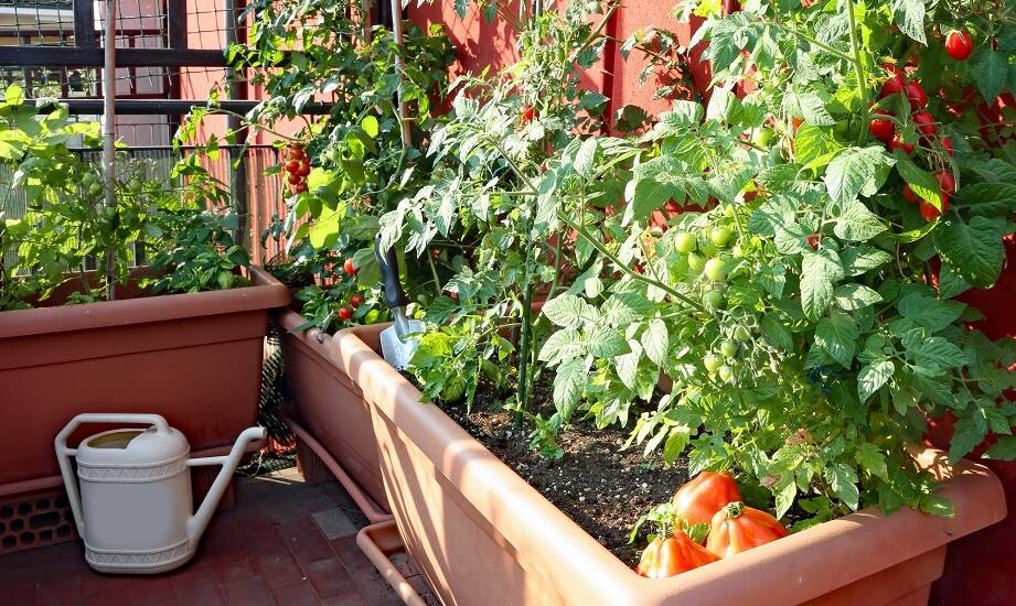 Jakie są zalety skrzynek balkonowych 60 cm w małych przestrzeniach?