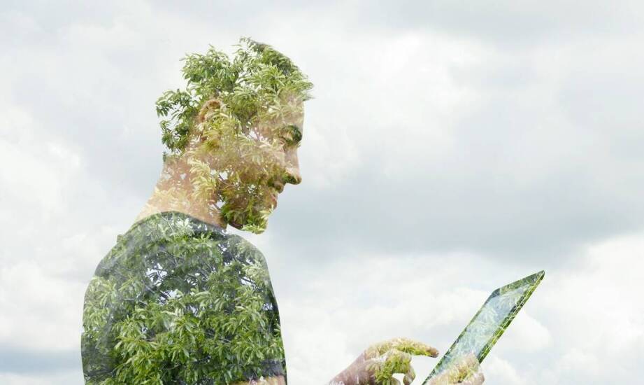 Znaczenie audytów środowiskowych dla monitorowania zgodności z normami