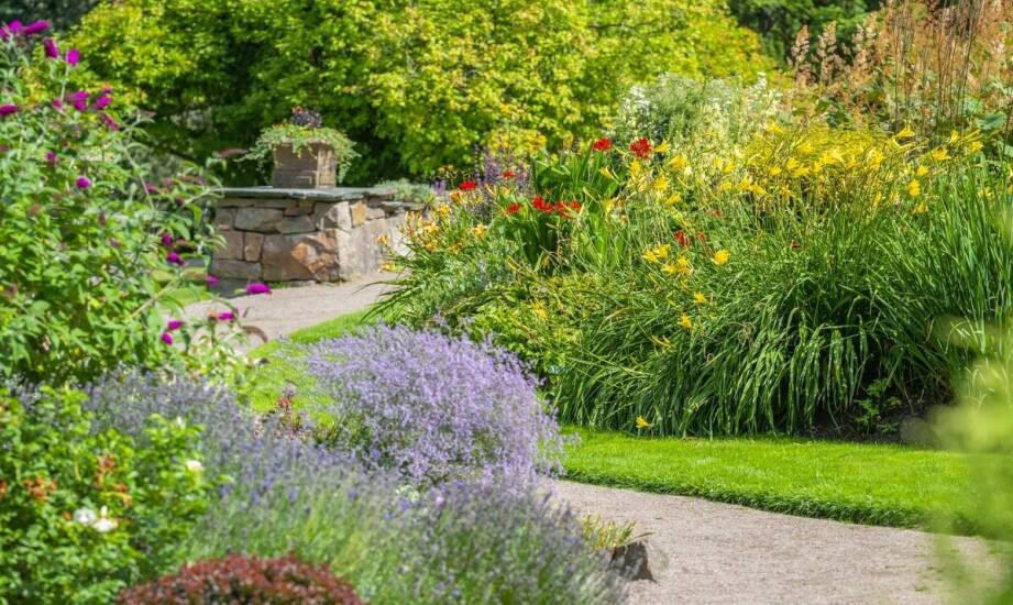 Kreatywne sposoby na wykorzystanie obelisków do róż w małych ogrodach