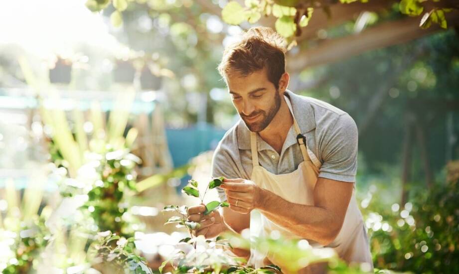 Jak silvoterapia wspiera zdrowie psychiczne seniorów?