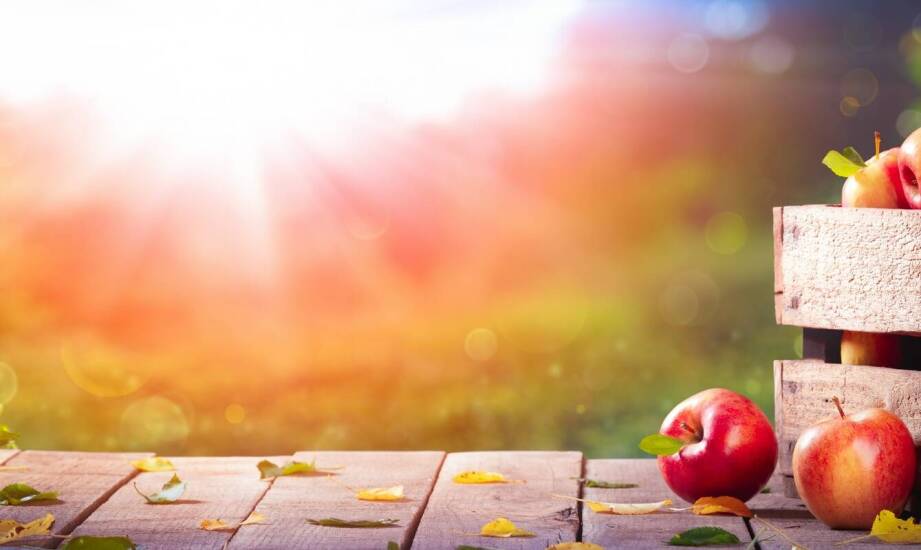 Jabłko Gloster a zmieniające się preferencje konsumentów