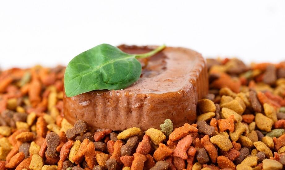 Rola mięsa w suchych karmach dla psów – dlaczego jest tak istotna?