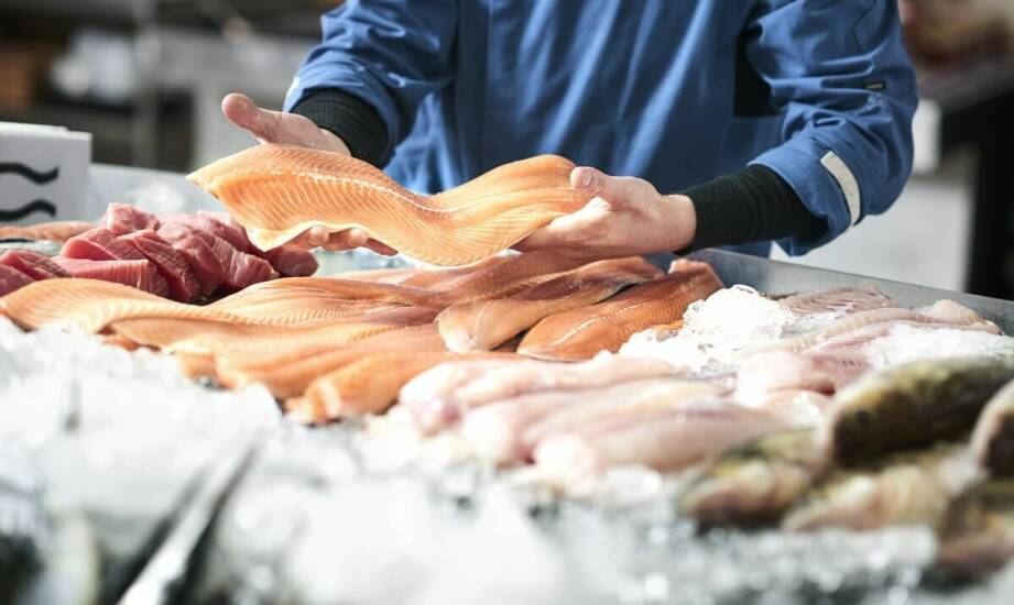 Rola międzynarodowych targów wędkarskich w nawiązywaniu kontaktów B2B