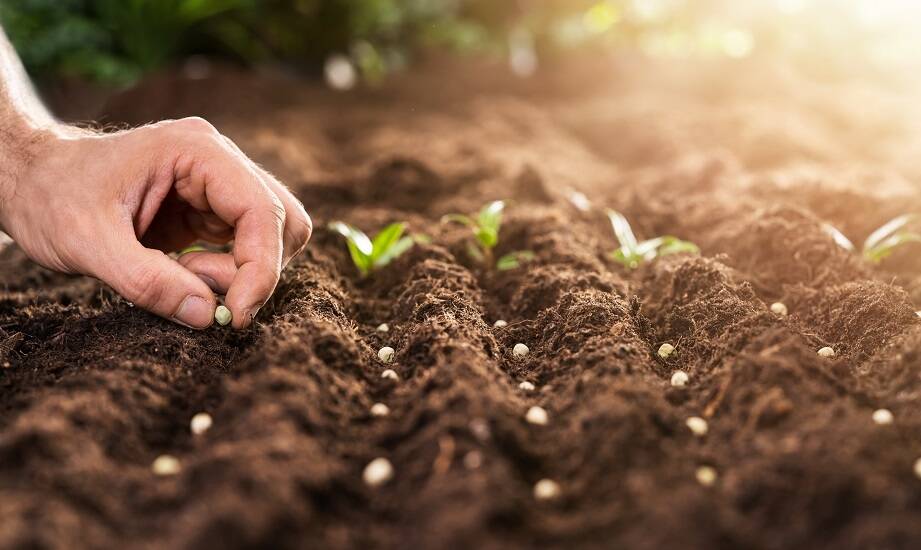 Jakie produkty ekologiczne oferują hurtownie ogrodnicze dla zrównoważonego ogrodu?