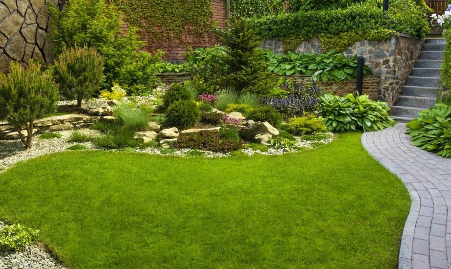 Przewodnik po przydomowych oczyszczalniach ścieków: jakie rozwiązanie wybrać?