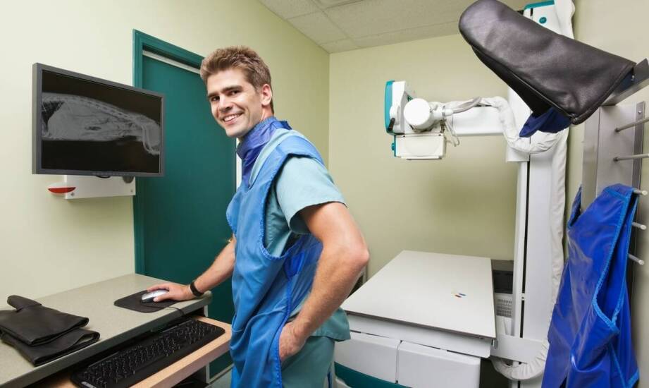 Rola weterynarza w opiece nad zwierzętami z problemami ortopedycznymi