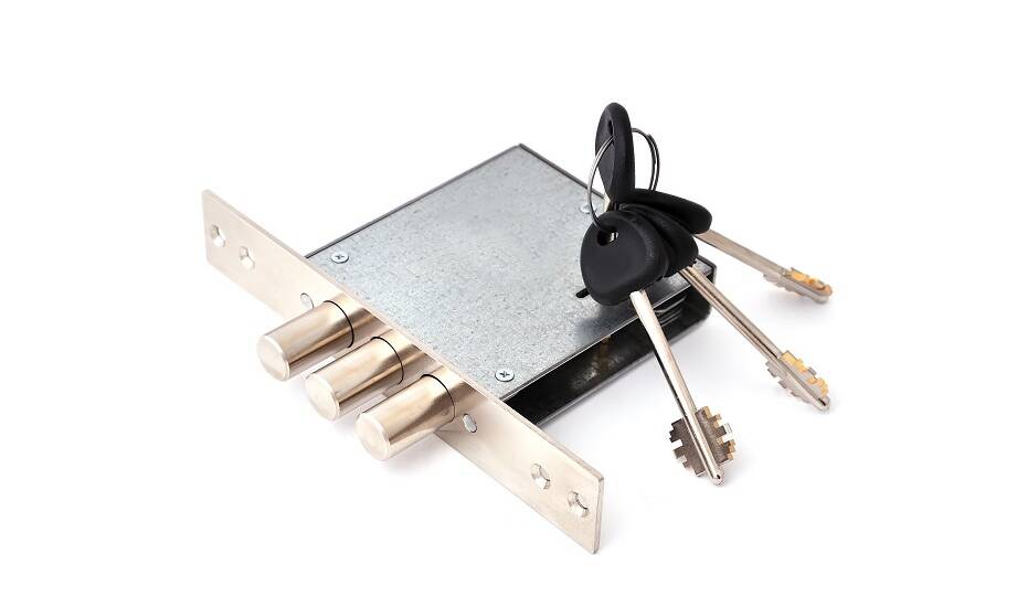 Wkładki drzwiowe – przewodnik po dostępnych na rynku opcjach i ich zastosowaniach