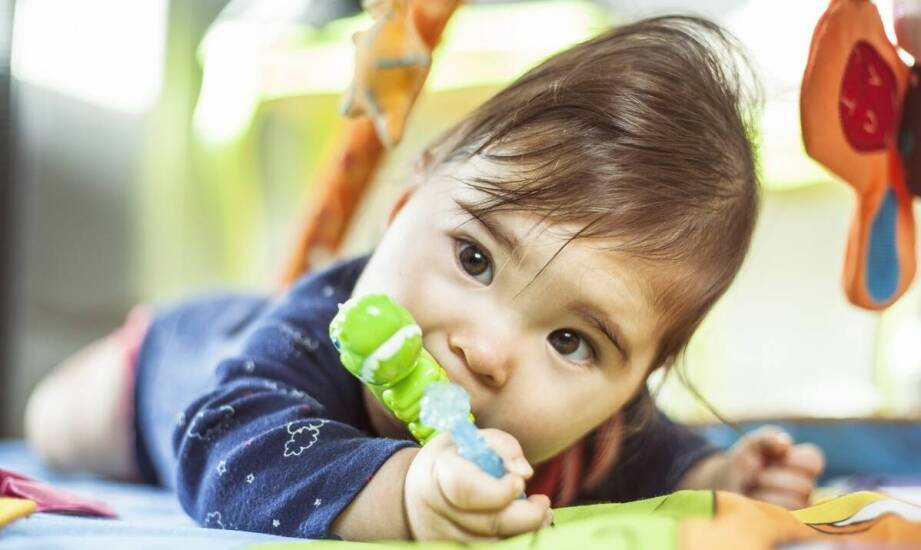 Naturalne smakołyki dla szczeniaka – wsparcie w okresie ząbkowania