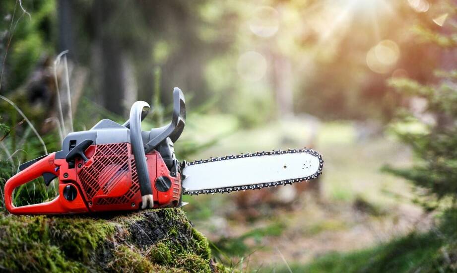 Kluczowe funkcje piły na wysięgniku w pielęgnacji ogrodu.