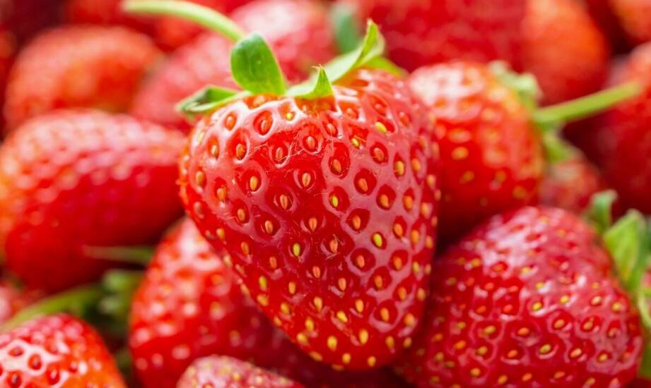 Jakie są korzyści z uprawy poziomki regina w donicach na tarasie?