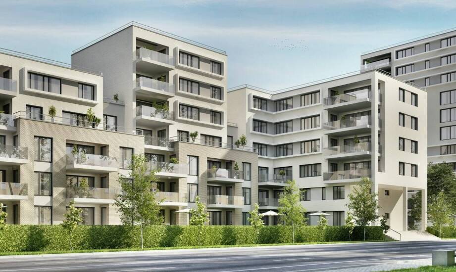 Utrzymanie czystości i porządku – znaczenie dla estetyki budynków