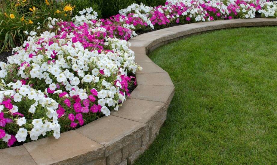 Jak palisada Rondo może zwiększyć estetyczną wartość posesji?