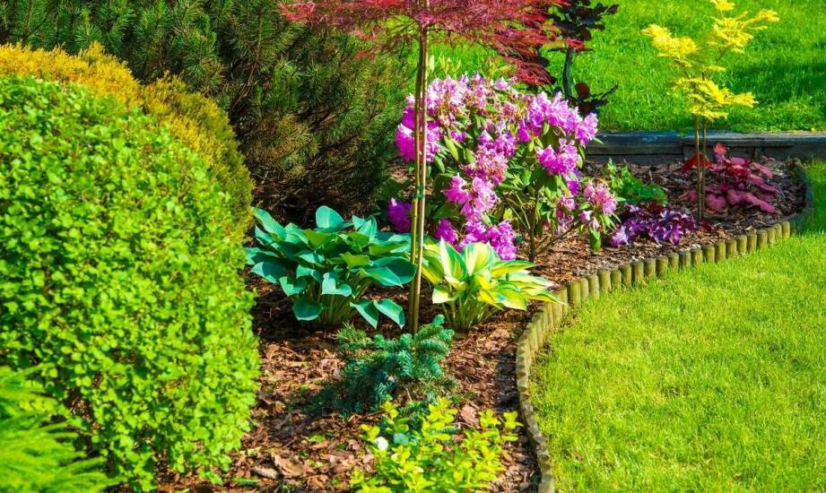 Jak różne typy ogrodzeń wpływają na wygląd otoczenia?