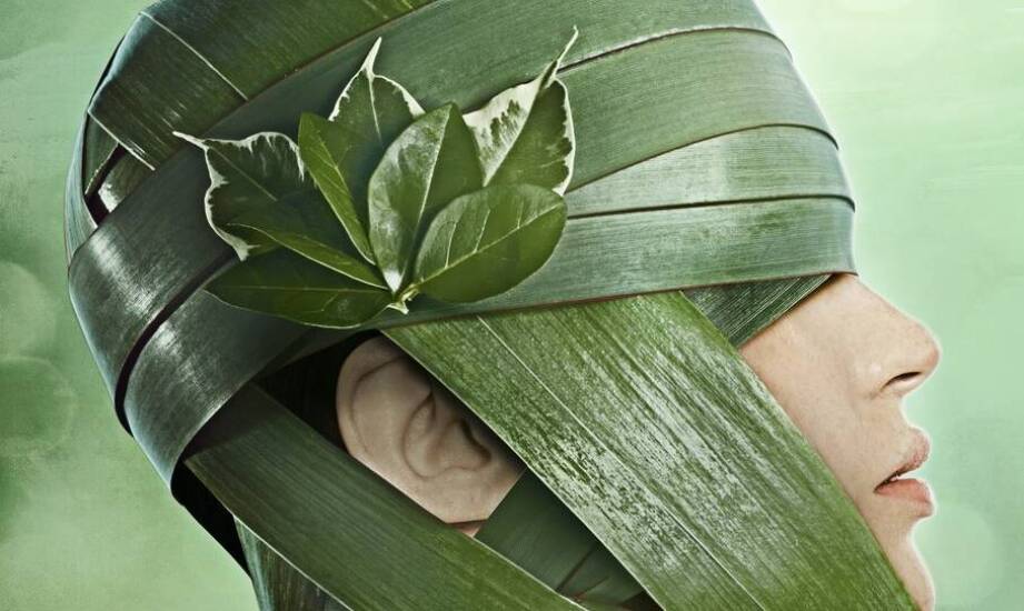 Tuba PCV a jej wpływ na rozwój zrównoważony