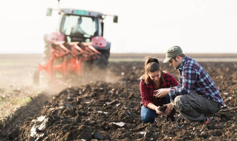 W jaki sposób rolnicze doradztwo wpływa na sukces wdrożenia programów dla rolników?