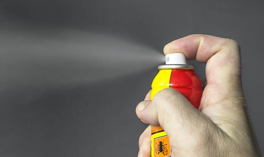 Środki do zwalczania owadów: jak wybrać odpowiedni produkt dla swojego ogrodu?