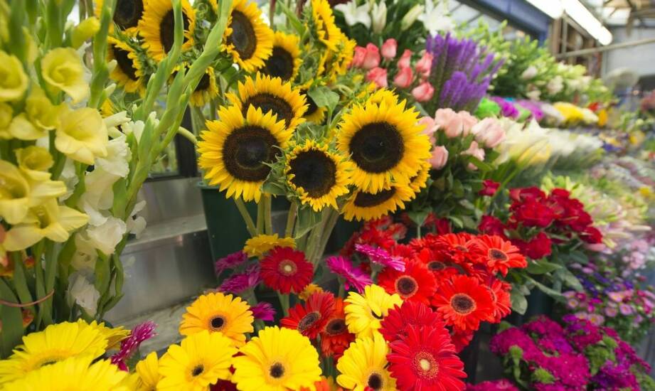 Jak obwoluta na pudełku wspiera promocję sezonowych produktów?