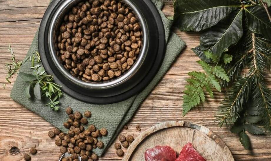 Wpływ diety BARF na zdrowie układu krążenia u domowych zwierząt