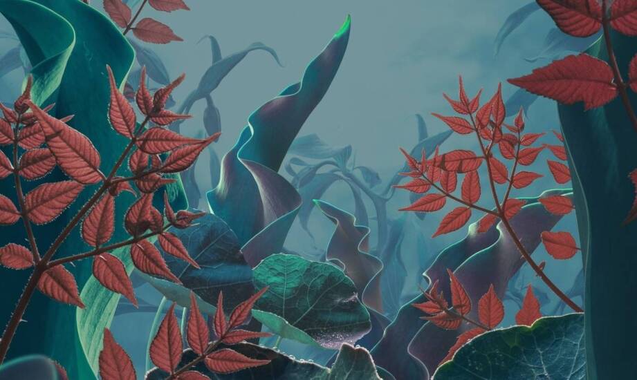 Tropikalne liście na plakatach – wprowadź egzotyczny klimat do swojego domu