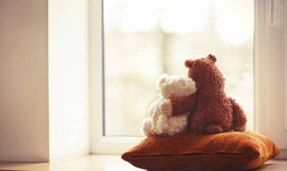 Rola szacunku w procesie pożegnania ze zwierzęciem domowym.