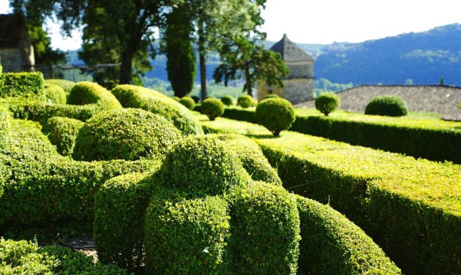 Jak renesansowa Toskania kształtowała nowoczesną naukę i filozofię?