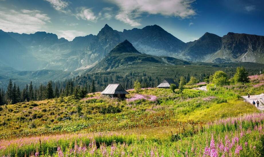 Wpływ ludowej kultury na wiejskiego pejzażu rysunki