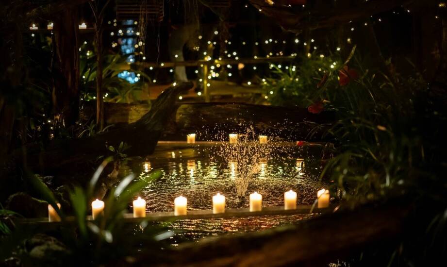 Jakie właściwości posiadają podgrzewacze z naturalnego wosku pszczelego?