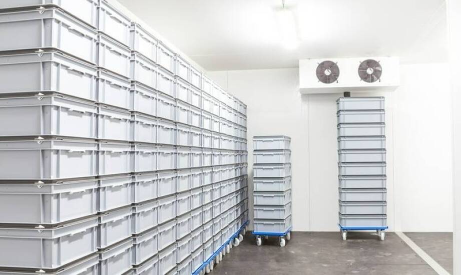 Jakie zasady magazynowania stosować dla spożywczych produktów?