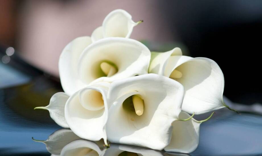 Rola dekoracji kwiatowych w tworzeniu niezapomnianej atmosfery podczas pogrzebu