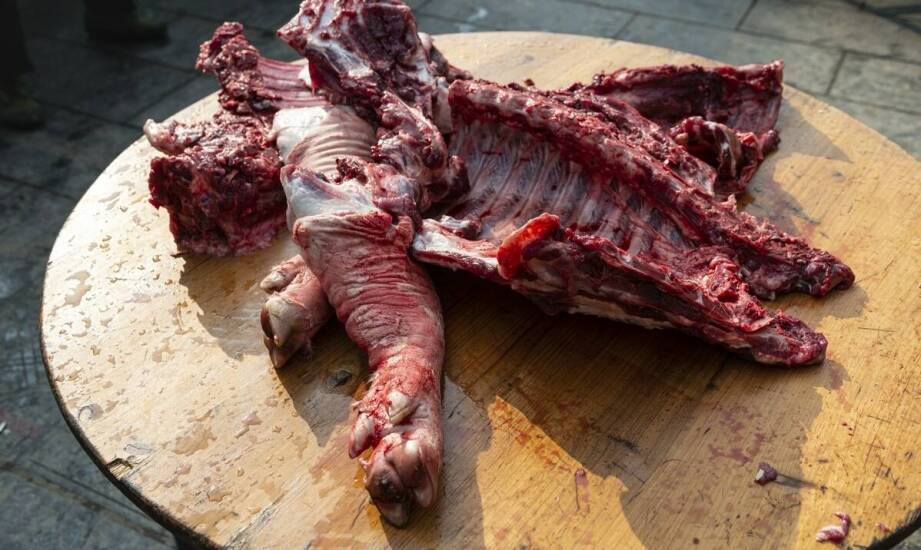 Różnorodność rozmiarów baranich jelit i ich zastosowanie w przemyśle mięsnym