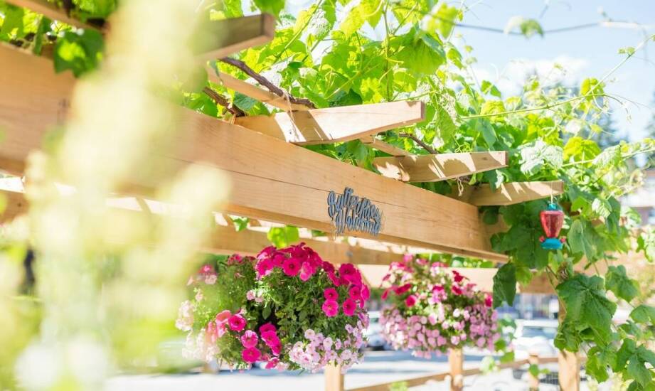 Komfortowe noclegi w pensjonacie Astoria w Krynicy – co warto wiedzieć?