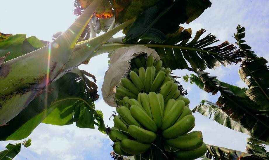 Kluczowe korzyści z posiadania energetycznych uprawnień G