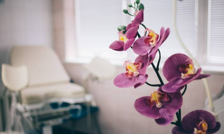 Jakie zabiegi oferuje gabinet estetycznej ginekologii dla poprawy intymnej estetyki?