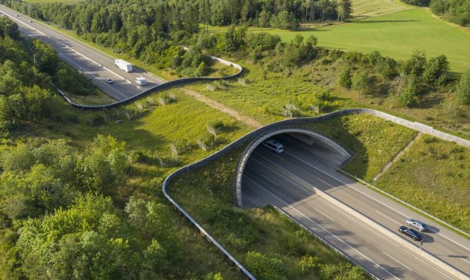 Mapa wiaduktów w Polsce: kluczowe znaczenie dla planowania tras